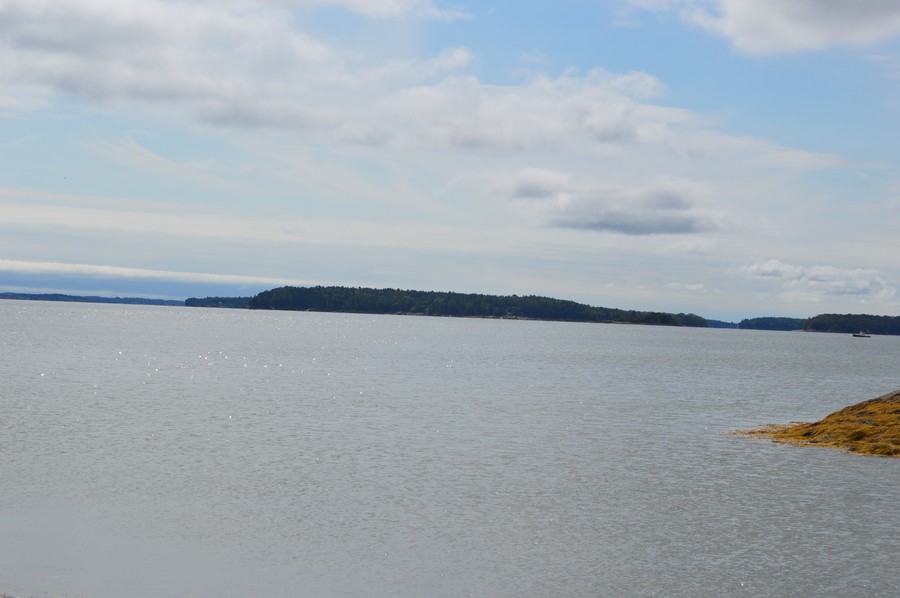 DSC_0253.JPG